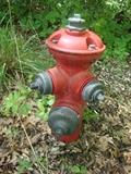Cute old red hydrant, Corey 