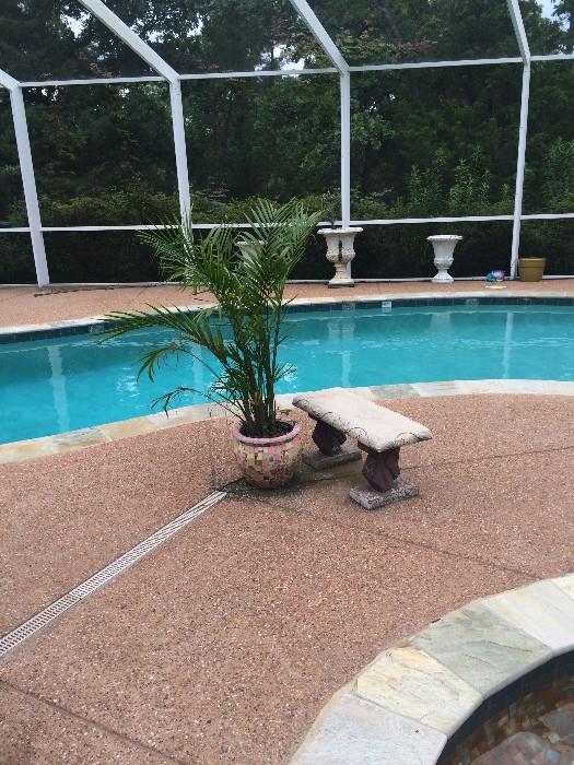 Several pieces of poolside seating/plants/urns