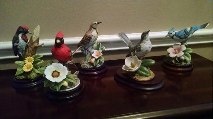 Collection of birds