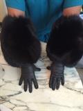 BLACK FOX TEACUP LEATHER GLOVES
