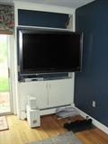 Flat Screen Television