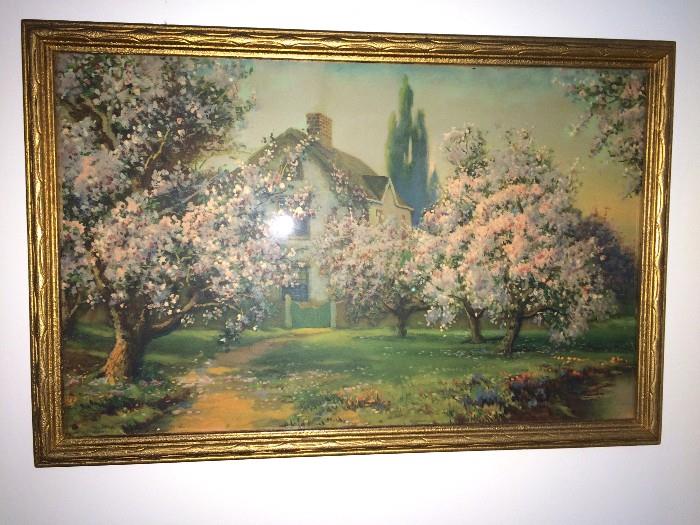 Lovely framed antique print with trees in pink bloom