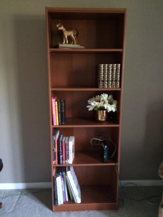 Larger Bookcase