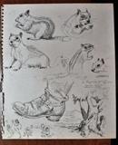 276 Chipmunks pen and ink 