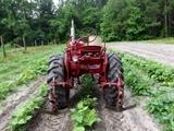 Farmall Garden Tractor – Runs Great! Includes 6 plow blades. 4 tine rake, chain driven fertilizer hopper with hose attachment, accessory bar for attachments, 6 extra attachment shanks, 2 discs hillers and middle buster, clamps, extra sweeps, extra hiller, 3 point hitch, belt drive attachment, tow bar