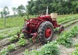 Farmall Garden Tractor – Runs Great! Includes 6 plow blades. 4 tine rake, chain driven fertilizer hopper with hose attachment, accessory bar for attachments, 6 extra attachment shanks, 2 discs hillers and middle buster, clamps, extra sweeps, extra hiller, 3 point hitch, belt drive attachment, tow bar