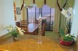 Silk orchids and an oddity