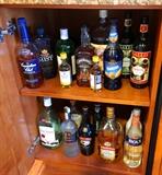 Nice bottle collection---(must clean them out yourself)