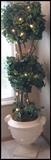 large ivy topiary in decorative urn