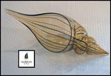  murano signed shell glass art