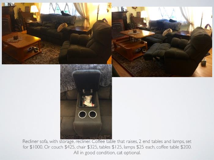 2nd living room set, microfiber cover. Sofa features a center storage platform. Cat optional. No really, cat and her sister are up for adoption or we will need to take them to a shelter.