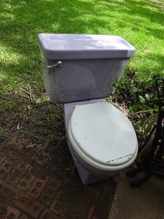 lavender toilet-  great for home yard art