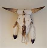 Cow Skull