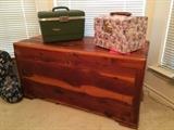 Cedar Trunk