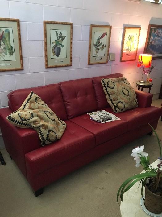 Framed Audubon Prints 