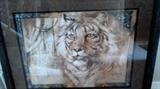 Beautiful Framed Animal Art