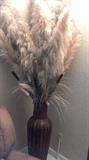 Whimsical Pampas in a gorgeous Vase