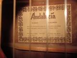 Andalucia guitar,  classical Spanish guitar