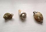 Lovely Miniature Bottles Made from Shells