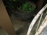 cast iron pot