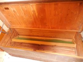 Cedar