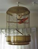Bird cage