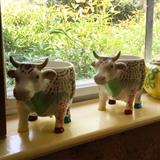 Unusual kitchen items 