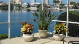 Plants and pots are for sale