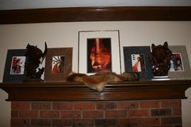 Native American Art, Fox Pelt