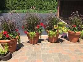 Potted plants in EXCELLENT Condition!!!