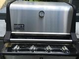Weber Grille