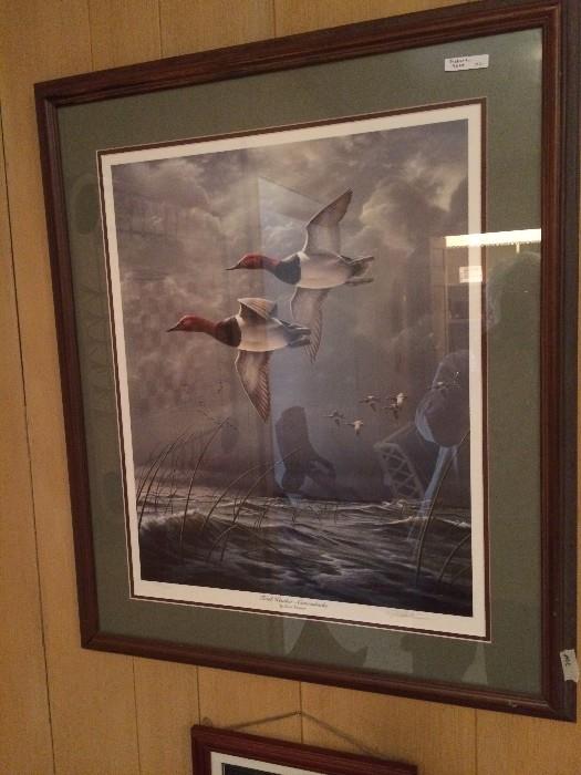 Fowl Weather - Canvasbacks