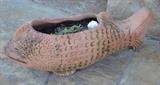 Fish Planter