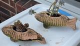 Fish Planters