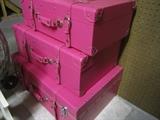 PINK CASES