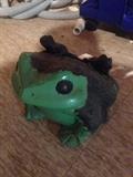 Concrete frog