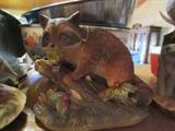 RACOON