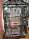 large parrot cage