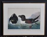 Two Bowen Edition Audubon Prints
Comprising the Jumping Mouse (plate LXXV, no. 17) and the American Beaver (plate XLVI, no. 10) Both hand-colored lithographs, 1846 and 1844 respectively. Each 20 1/4" x 26 1/2" (sight)