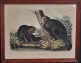 Two Bowen Edition Audubon Prints
Comprising the Jumping Mouse (plate LXXV, no. 17) and the American Beaver (plate XLVI, no. 10) Both hand-colored lithographs, 1846 and 1844 respectively. Each 20 1/4" x 26 1/2" (sight).  Bid at www.fairfieldauction.com today through Wed. July 20th