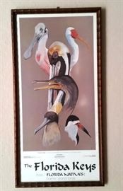Framed Florida birds pic