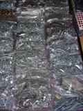Bags and Bags of hardware