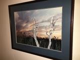 Framed Photos - local artist