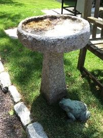 Bird Bath