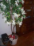 Visit ~www.EBIDLOCAL.com~ to view entire auction with item descriptions!