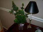 Visit ~www.EBIDLOCAL.com~ to view entire auction with item descriptions!