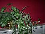 Visit ~www.EBIDLOCAL.com~ to view entire auction with item descriptions!