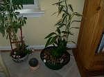 Visit ~www.EBIDLOCAL.com~ to view entire auction with item descriptions!