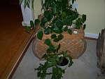 Visit ~www.EBIDLOCAL.com~ to view entire auction with item descriptions!