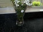 Visit ~www.EBIDLOCAL.com~ to view entire auction with item descriptions!